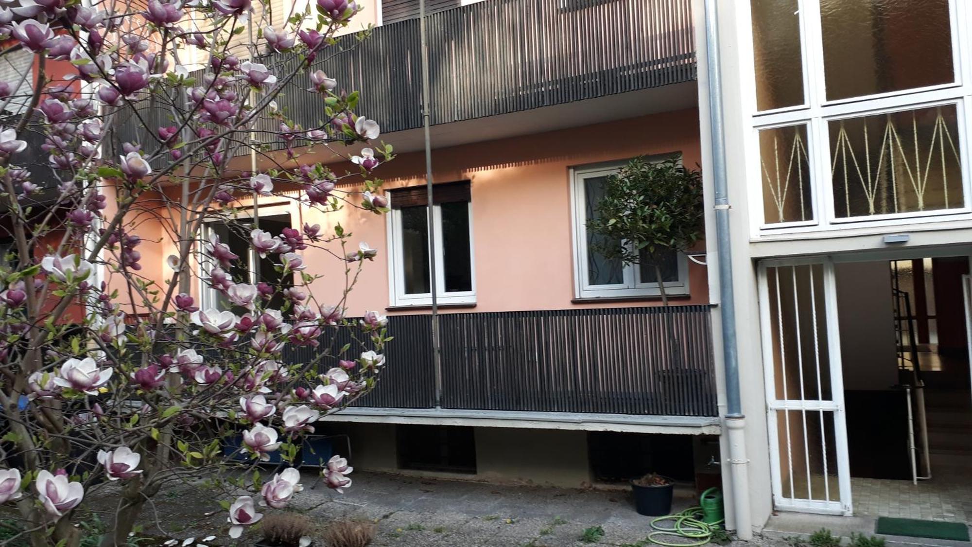 Wohnung Medicus, 3 Zkb, Balkon, Garten, Naehe Stadtpark, Ruhig 凯撒斯劳滕 外观 照片